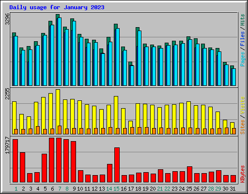Daily usage for January 2023