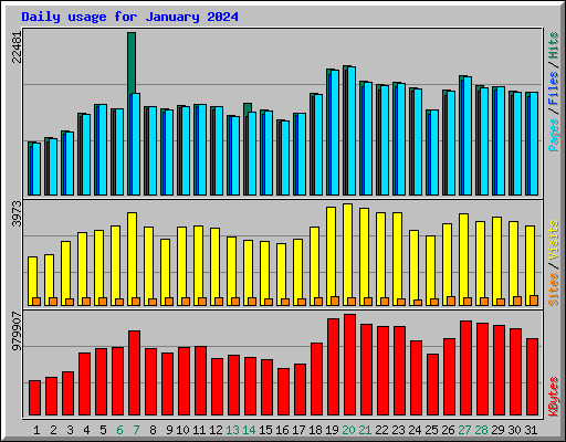 Daily usage for January 2024