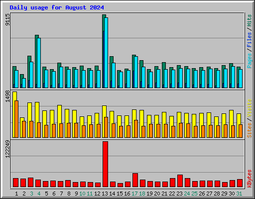 Daily usage for August 2024