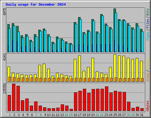 Daily usage for December 2024
