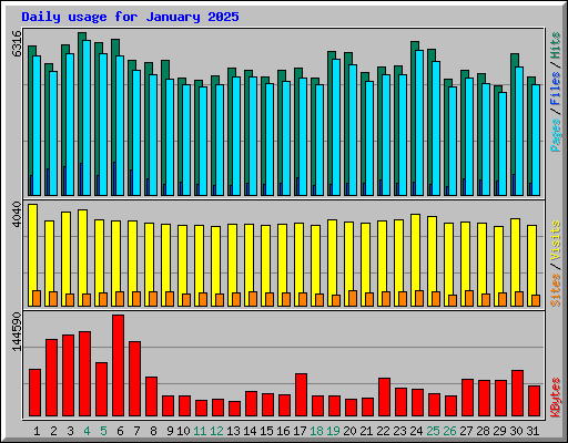 Daily usage for January 2025
