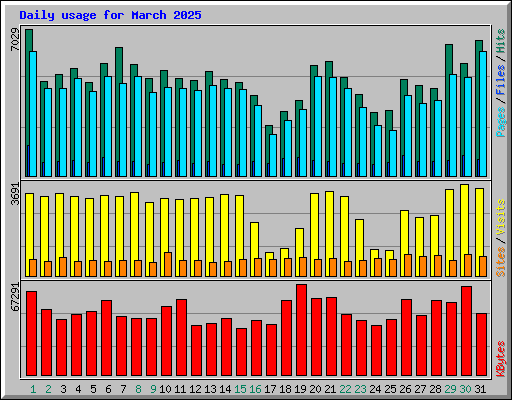 Daily usage for March 2025