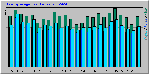Hourly usage for December 2020