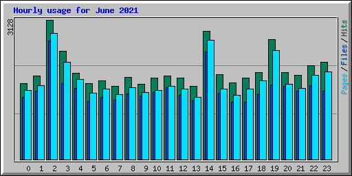 Hourly usage for June 2021