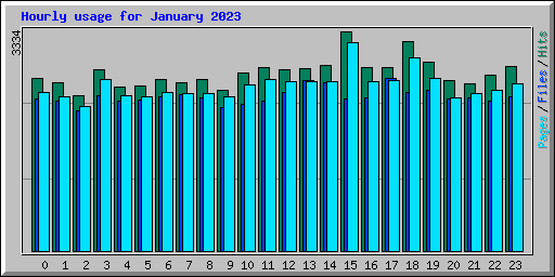 Hourly usage for January 2023