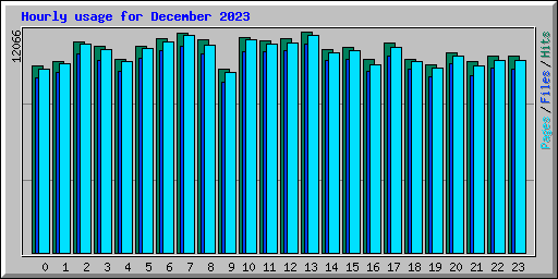 Hourly usage for December 2023
