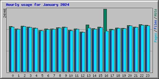 Hourly usage for January 2024