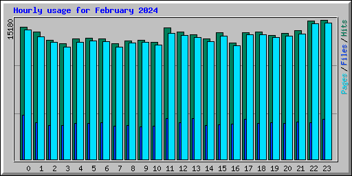 Hourly usage for February 2024