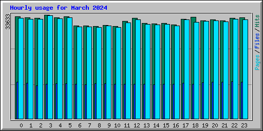 Hourly usage for March 2024