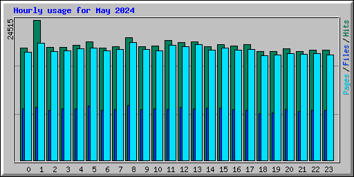 Hourly usage for May 2024
