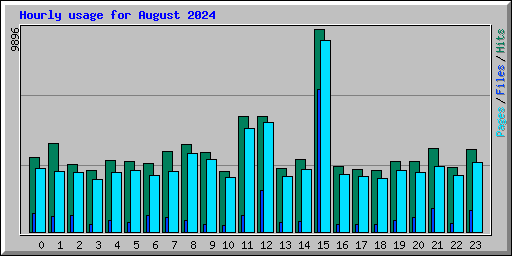 Hourly usage for August 2024