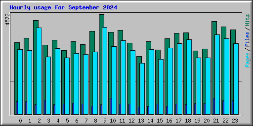 Hourly usage for September 2024