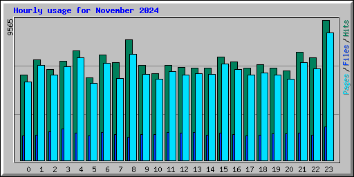 Hourly usage for November 2024