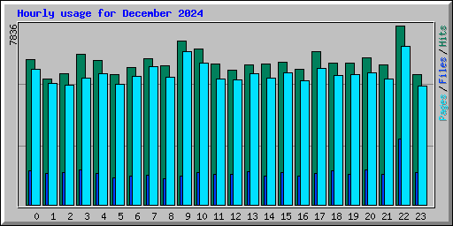Hourly usage for December 2024