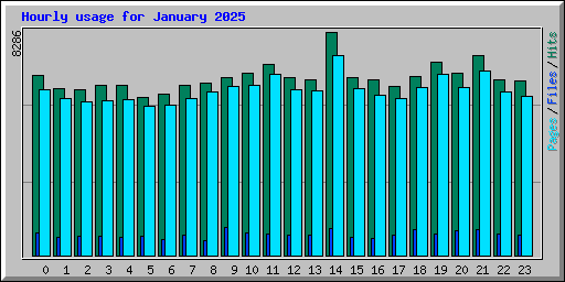 Hourly usage for January 2025