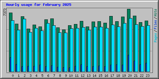 Hourly usage for February 2025