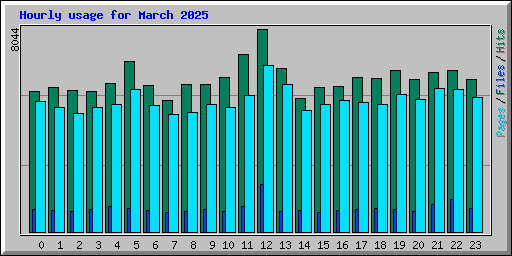 Hourly usage for March 2025