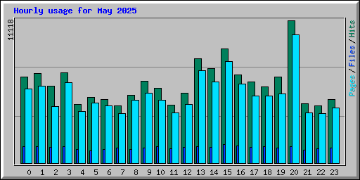 Hourly usage for May 2025