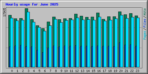 Hourly usage for June 2025
