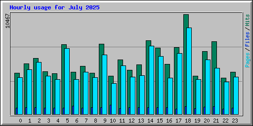 Hourly usage for July 2025