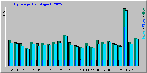 Hourly usage for August 2025